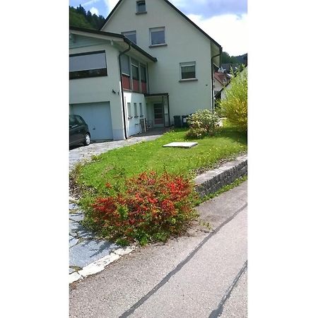Apartamento Haus Marion Todtnau Exterior foto