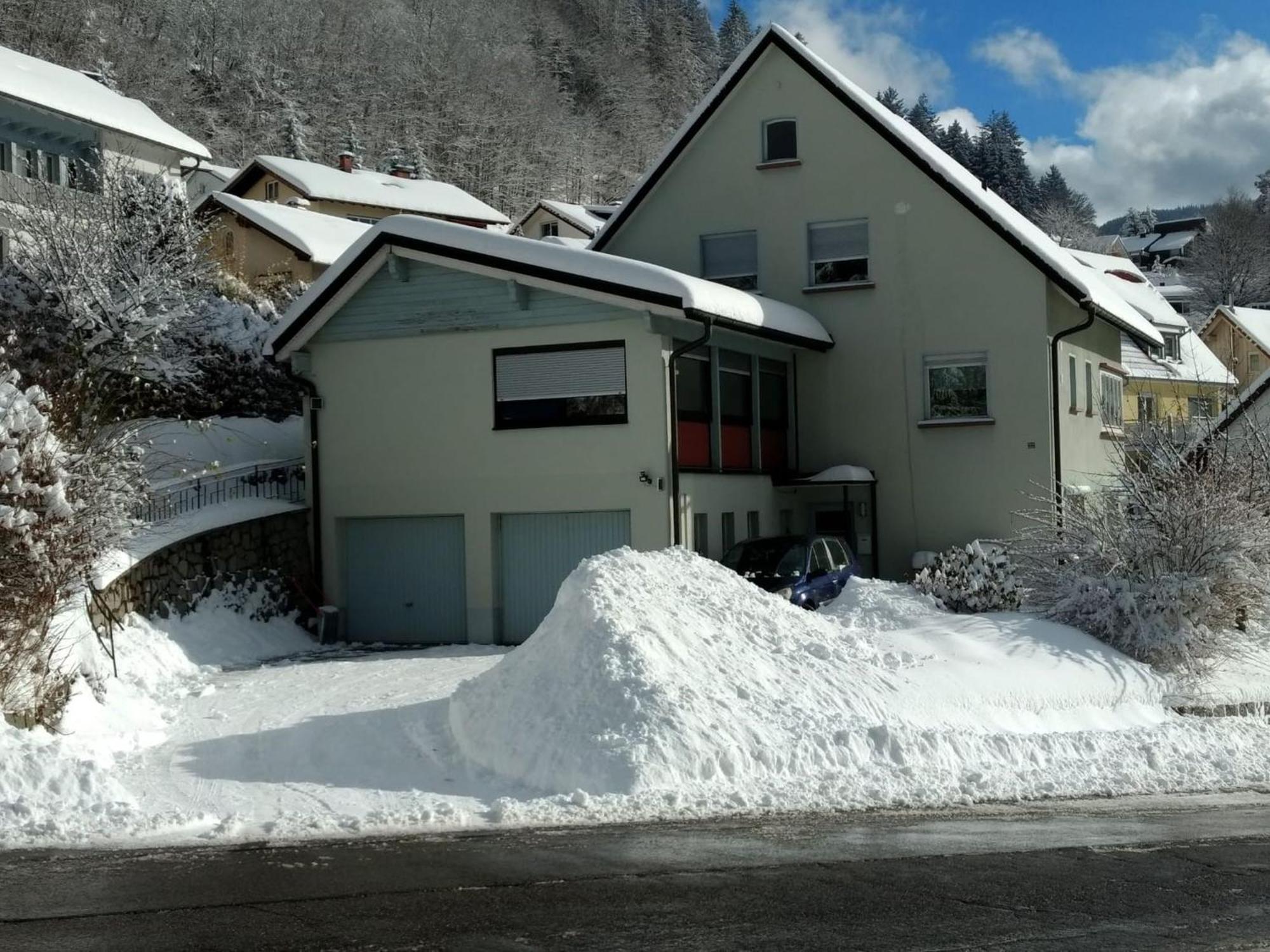 Apartamento Haus Marion Todtnau Exterior foto
